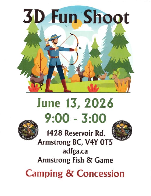 3D Archery